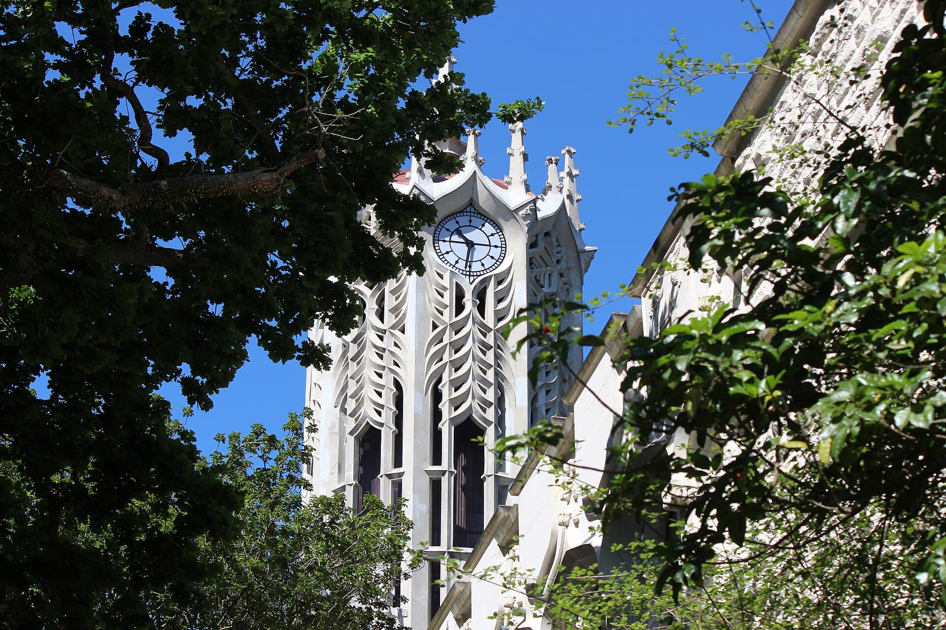 The clock tower at the University of Auckland